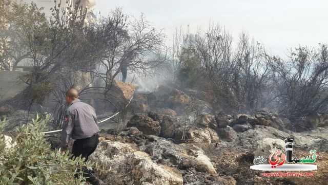 حريق كبير في الاحراش القريبة من قرى زيمر وحالة من القلق