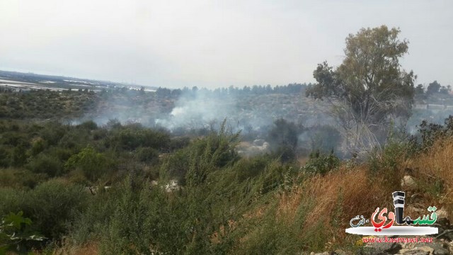 حريق كبير في الاحراش القريبة من قرى زيمر وحالة من القلق