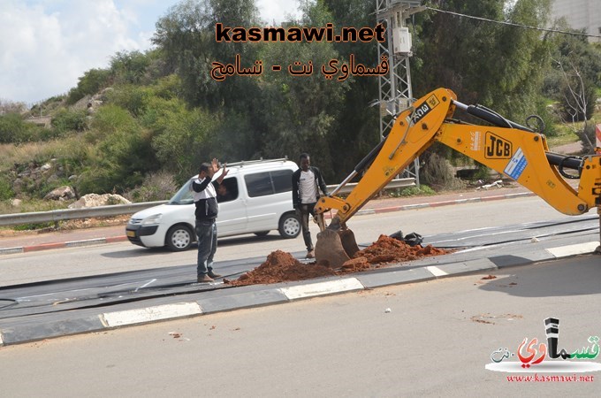 عمو عادل يزرع اشجار الزيتون في مدخل البلدة والمشروع اخذ بالانجاز والاكتمال 