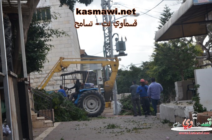 عمو عادل يزرع اشجار الزيتون في مدخل البلدة والمشروع اخذ بالانجاز والاكتمال 