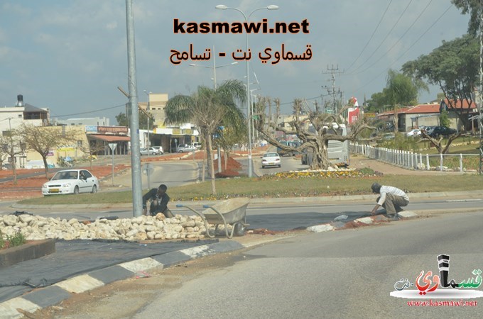 عمو عادل يزرع اشجار الزيتون في مدخل البلدة والمشروع اخذ بالانجاز والاكتمال 