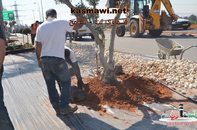 سوادس الغزالي في منتزه عبد الكريم قاسم والاعمال في المرحلة الاخيرة في المدخل