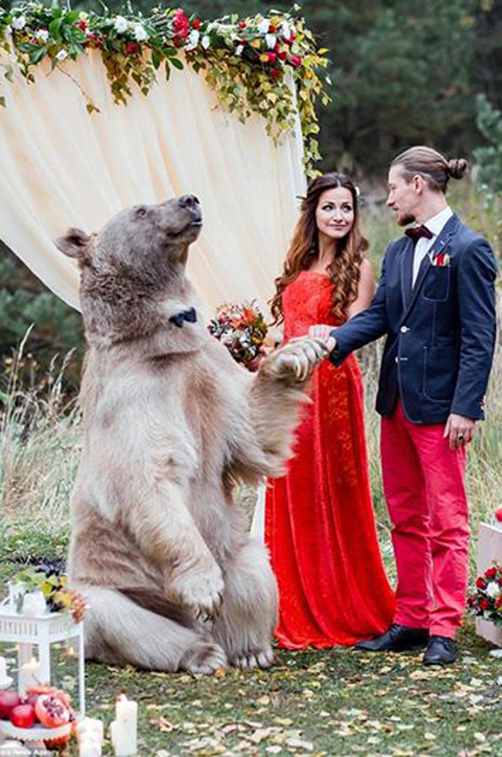 حفل زفاف بحضور صديقهما الدب