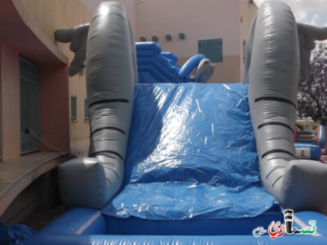 تسيلا تنهي اسبوعا من العطاء والمتعة لطلاب الابتدائيات والبساتين