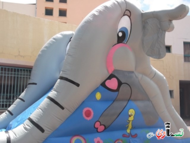 تسيلا تنهي اسبوعا من العطاء والمتعة لطلاب الابتدائيات والبساتين