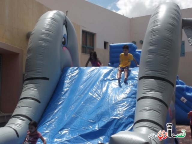 تسيلا تنهي اسبوعا من العطاء والمتعة لطلاب الابتدائيات والبساتين