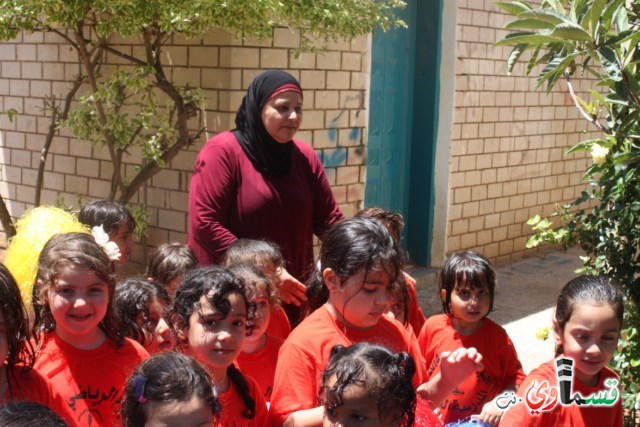 تسيلا تنهي اسبوعا من العطاء والمتعة لطلاب الابتدائيات والبساتين