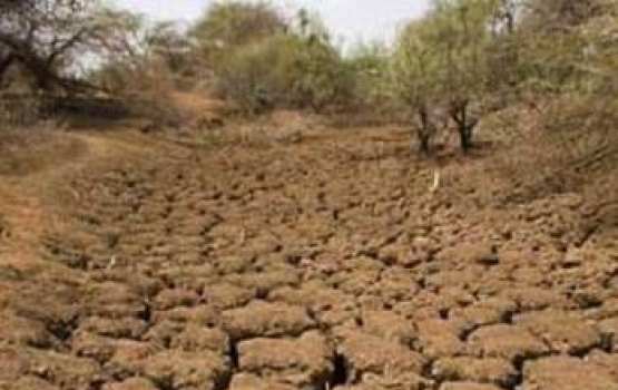 يحدث الجفاف بسبب انحباس الأمطار فترة طويلة