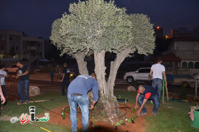 كفر قاسم : عمار يا بلدي... ترميم دوار شنيتسل طعاميم وتسميته  دوار السلام  بمبادرة اهل الحي 