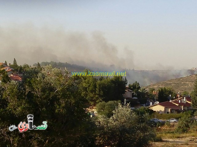    فيديو: انتبهوا ..  السنة اللهب تصل مستعمرة اورانيت .. وطواقم الاطفاء تهرع الى مكان الحادث ومخاوف من اتساعها 